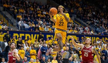 Chris Bell, John Camden Hope to Reach NBA Like Other Undrafted Cal Players