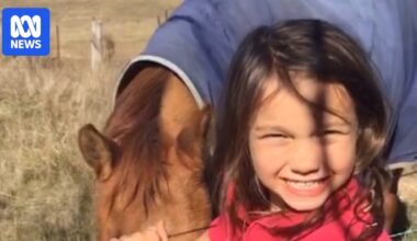 Inquest into murder of Bridgette 'Biddy' Porter underway in NSW