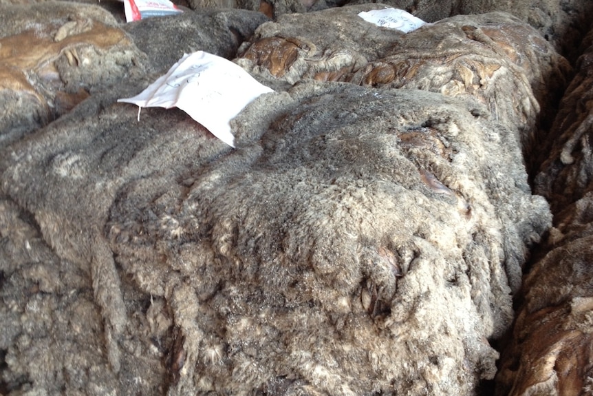 A pile of sheepskins