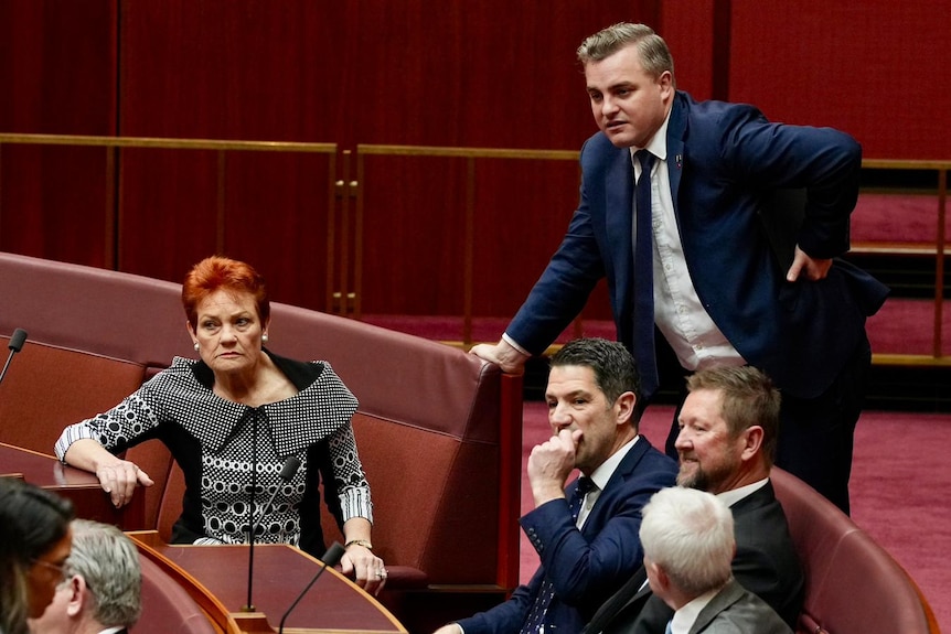 Pauline Hanson and other One Nation senators in the senate.