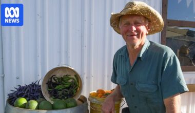Communities turn to barter-style crop swaps to combat cost-of-living crisis