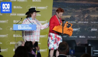 Hanson's bulldozer moment could be a sign of new promiscuity in donor politics