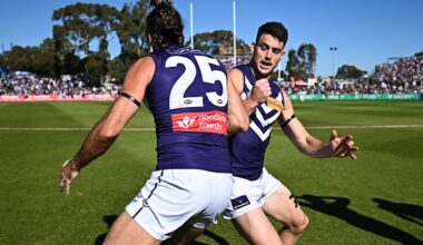 North Melbourne vs Fremantle LIVE: AFL round 13 2026, scores, results, odds, stats and start time from Hands Oval