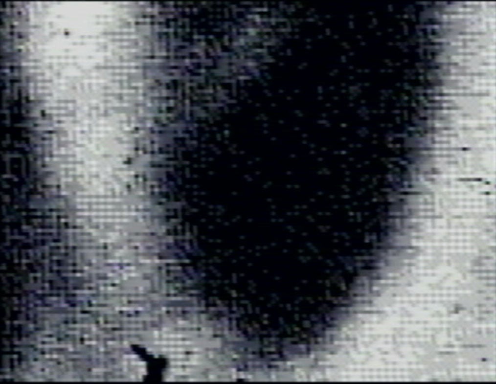 Grainy black-and-white image showing a dark, blurry vertical shape in the center with a small, indistinct silhouette at the bottom left. The overall appearance is abstract and mysterious.