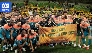 Just how far can the Socceroos go at the FIFA World Cup, and what is a pass mark?