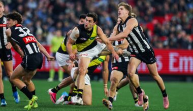 Taranto again provides top value for Tigers