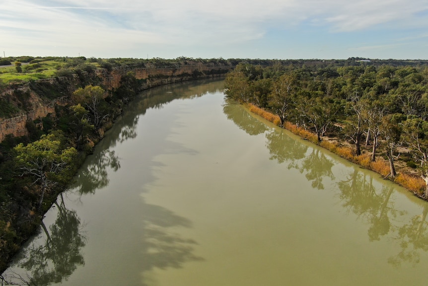 A wide river in rural South Australia.