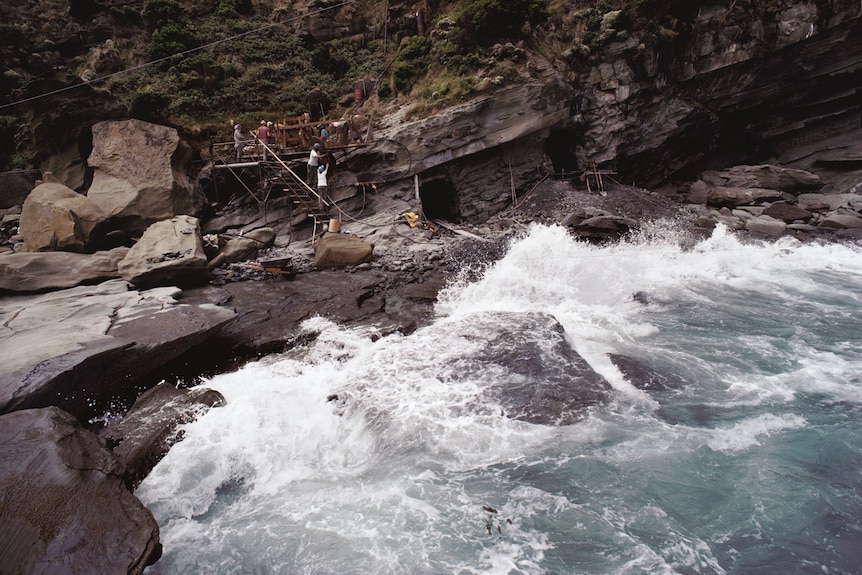 Seven people on scaffolding on a cliff next to the ocean.