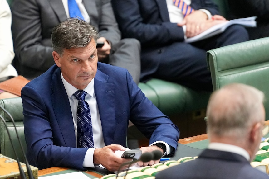 Angus Taylor looks at the PM in Question Time.