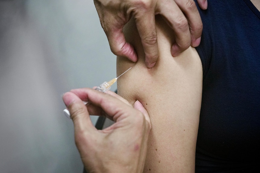 A needle injecting a vaccine into a patient's arm.