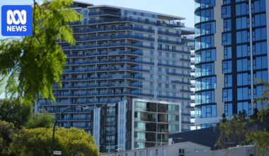 Melville tree protection plans in doubt as council meeting weighs options