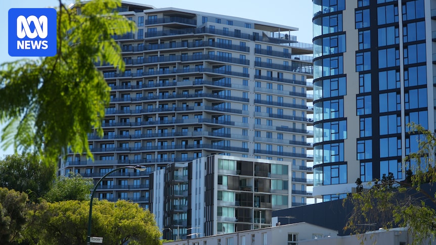 Melville tree protection plans in doubt as council meeting weighs options