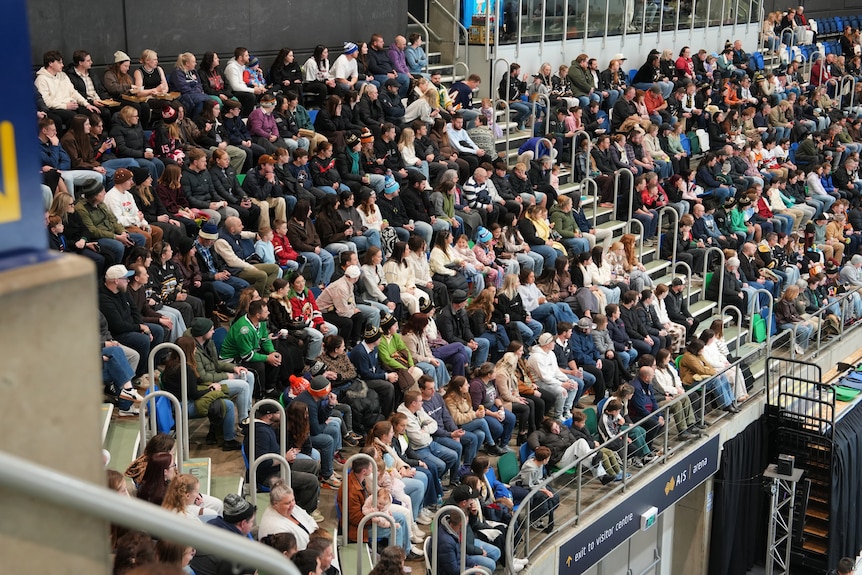 A crowd of people sit in the stand watching the rink.