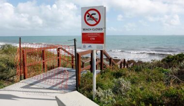Whale carcass washes ashore at Grant Beach in Cottesloe, causing beach closure