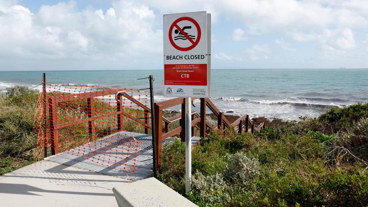 Whale carcass washes ashore at Grant Beach in Cottesloe, causing beach closure