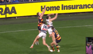 AFL MRO: Crows veteran, Geelong star in hot water