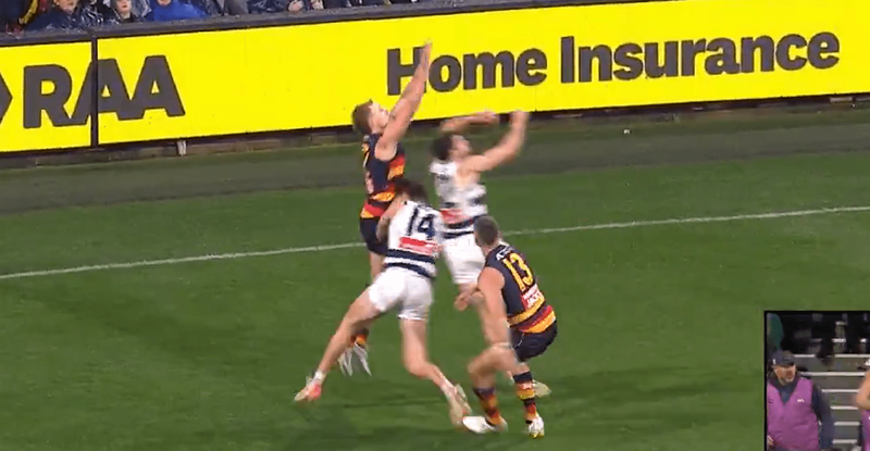 AFL MRO: Crows veteran, Geelong star in hot water