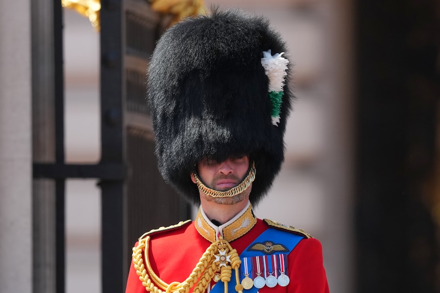 A British footguard soldier wearing his bearskin.