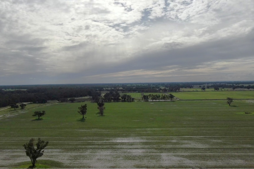 A drone shot of a crop covered in water and mud