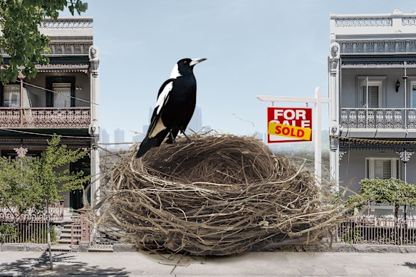 The Magpies have invested in property that they plan to rent to their own players and staff.