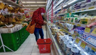 Three reasons why a food-supply shock may be coming to Southeast Asia: Goldman Sachs