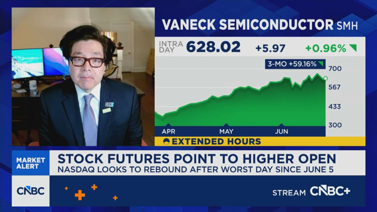 Tom Lee: Investors are trying to understand the new Mag 7 narrative