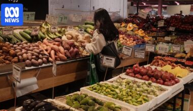 Australian horticulture hits record production value of $19.5 billion