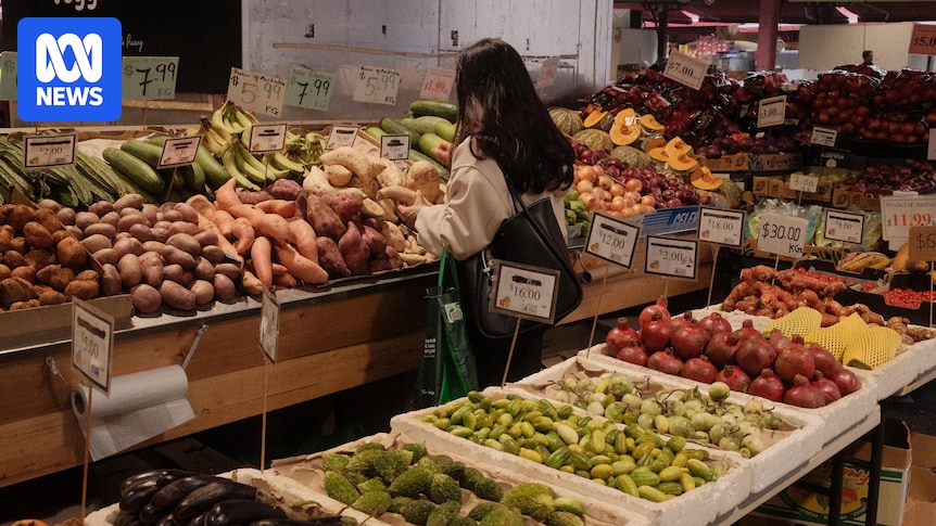 Australian horticulture hits record production value of $19.5 billion