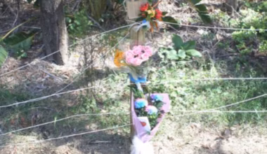 Keith Andrew Chambers pleads guilty to manslaughter of boy, 9, at Robina