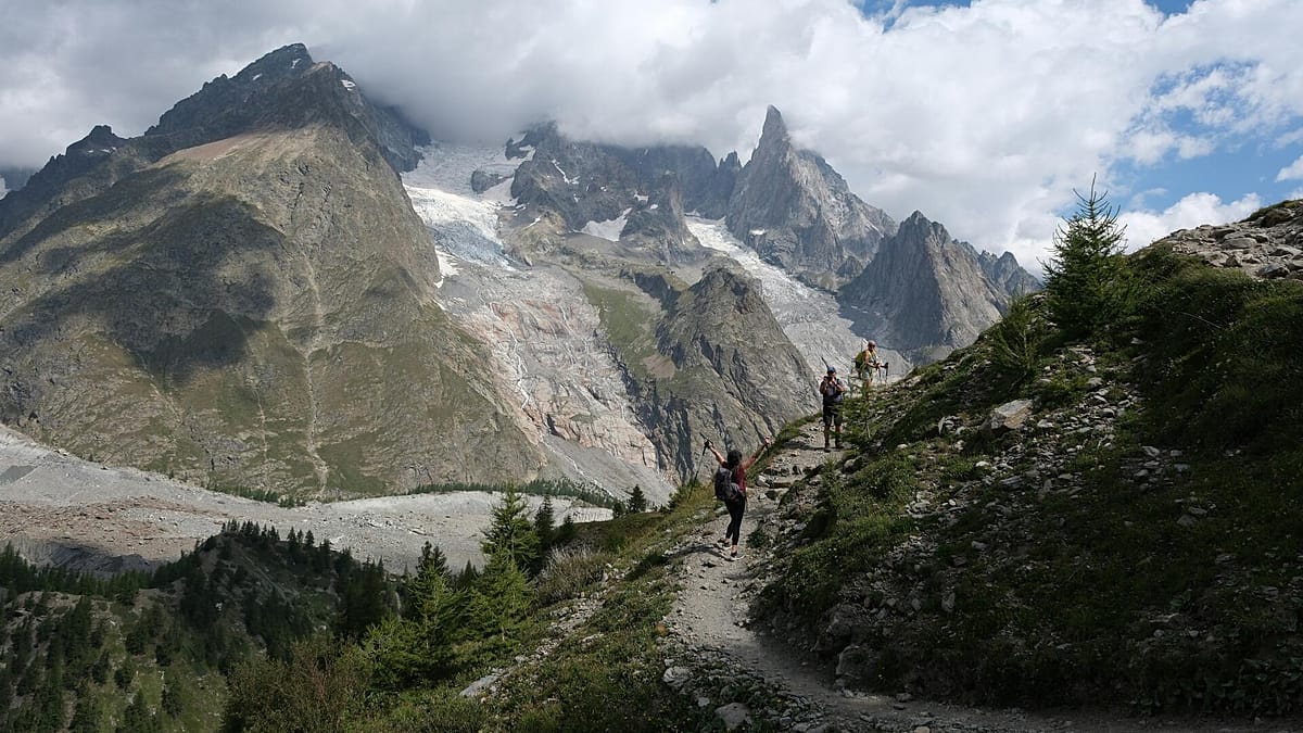 France adds 157,000 hectares of protected forest as nature preserves face pressure elsewhere