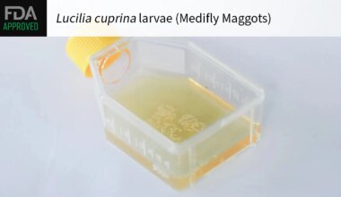 FDA APPROVED Lucilia cuprina larvae (Medifly Maggots) over a photo of the product.