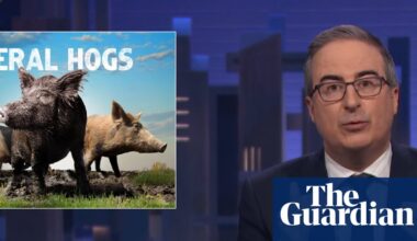 John Oliver on feral hogs: ‘One of the most destructive species in the country’ | John Oliver