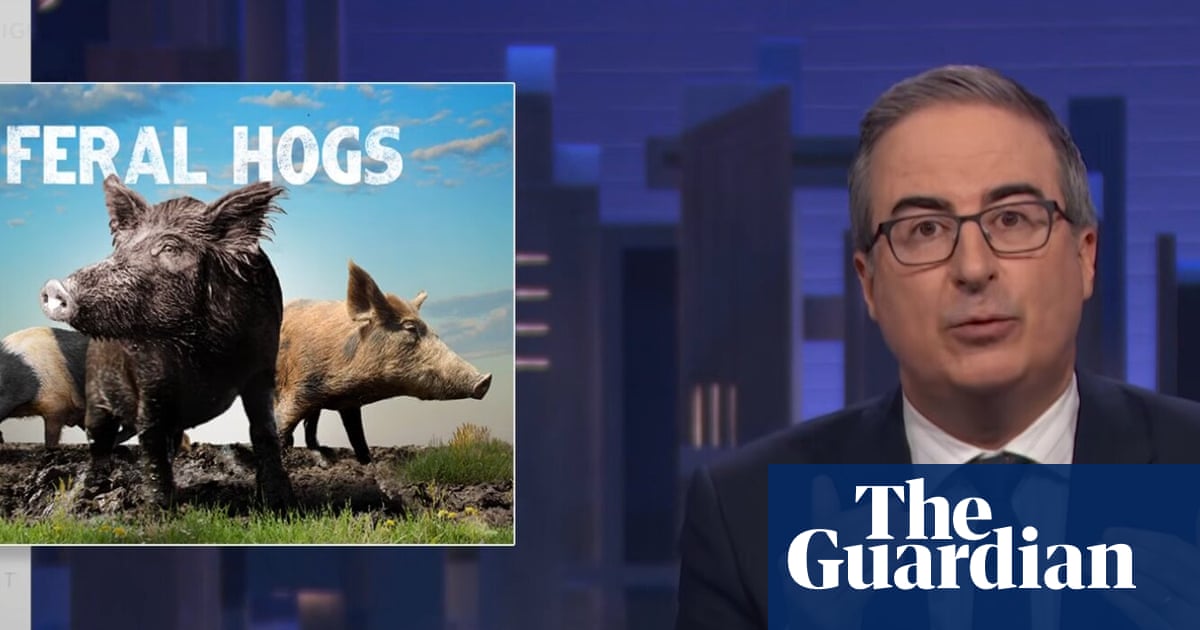 John Oliver on feral hogs: ‘One of the most destructive species in the country’ | John Oliver