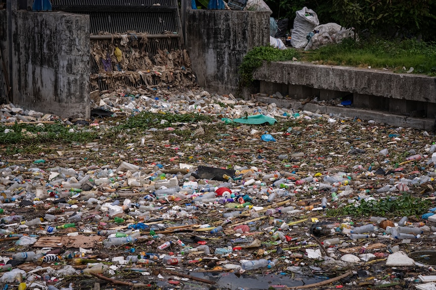 A pile of trash floats in a green coloured river.