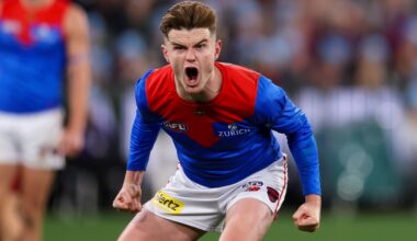 Demons down Pies in King's Birthday battle royale marred by serious injury
