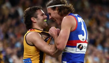 'He doesn't back away': Hawks antagonist receives unlikely support