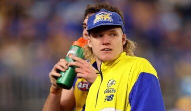 Reuben Ginbey injury update