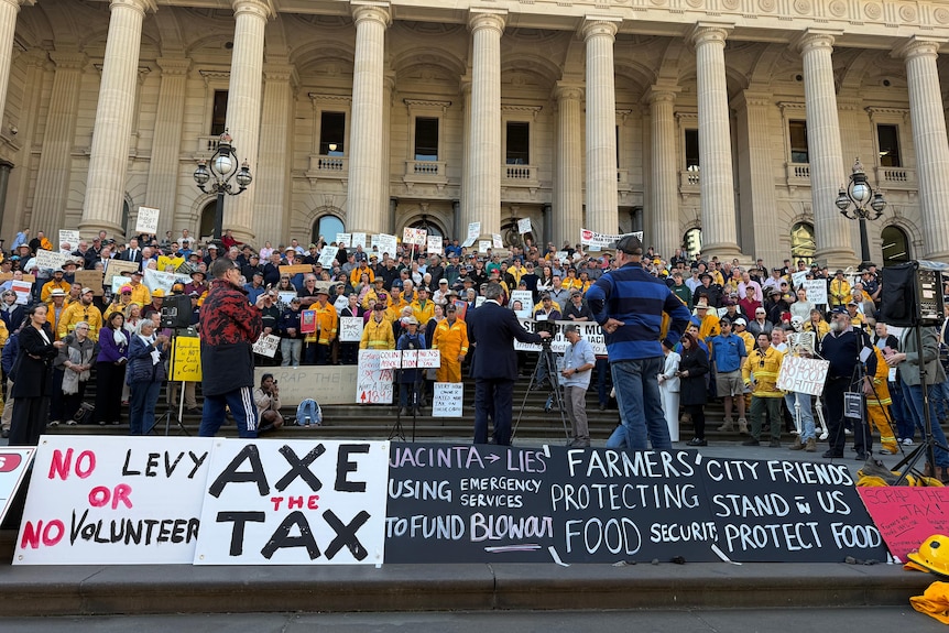 Farmers protesting on the steps of Parliament House in Spring Street.