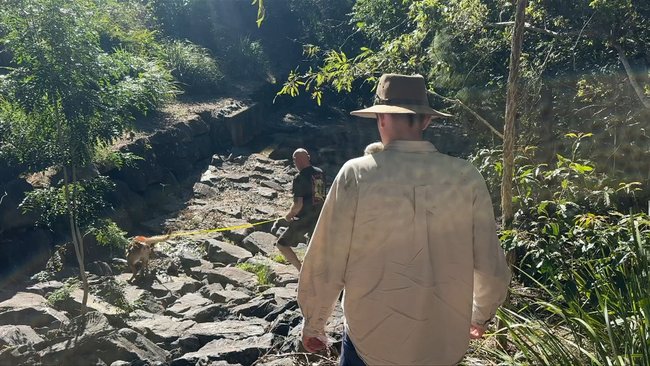 Search crews have set traps through dense Gold Coast bushland as the hunt for runaway Tasmanian devil Mary enters another night.