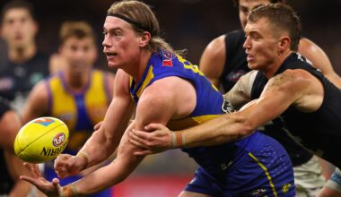 Match Preview: Blues v Eagles