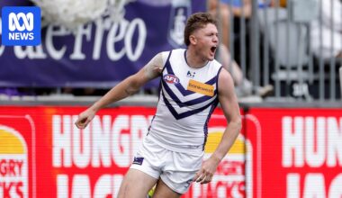 Fremantle Dockers AFL player Nathan O'Driscoll says mental health admission 'best thing' he did