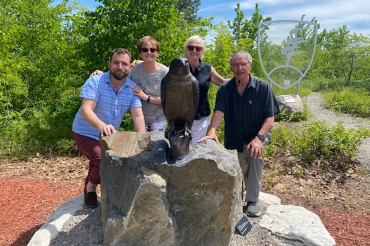 Arts council acting as donation hub for Sudbury Jane Goodall sculpture series