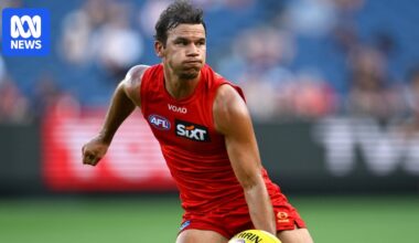 AFL fines Suns $20,000 for repeated umpire contact after Daniel Rioli incident