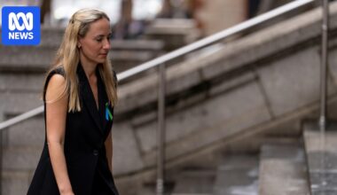 Sarah Game's bill restricting late-term abortion access passes upper house