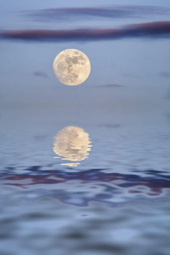 Full moon reflected on calm water under a clear sky.