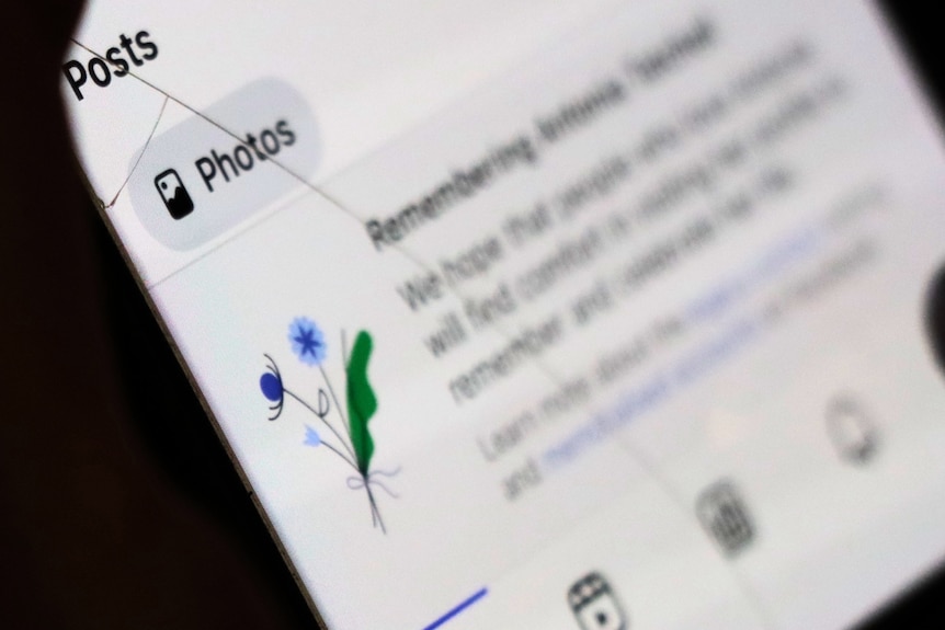 A phone screen showing a graphic image of a blue flower.