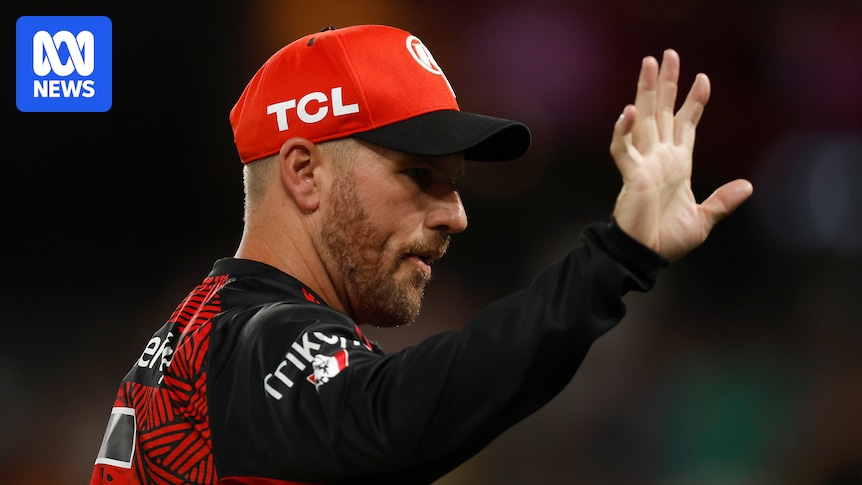What the looming sale of Melbourne Renegades means for fans and the BBL