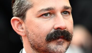Shia Labeouf pleads guilty over New Orleans bar incident