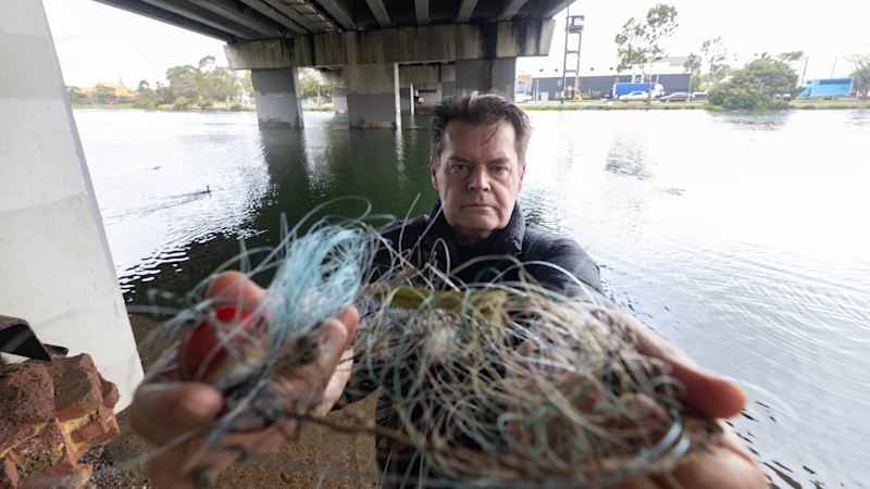 Maribyrnong River swans: New wildlife protection group forms after devastating fishing-related deaths