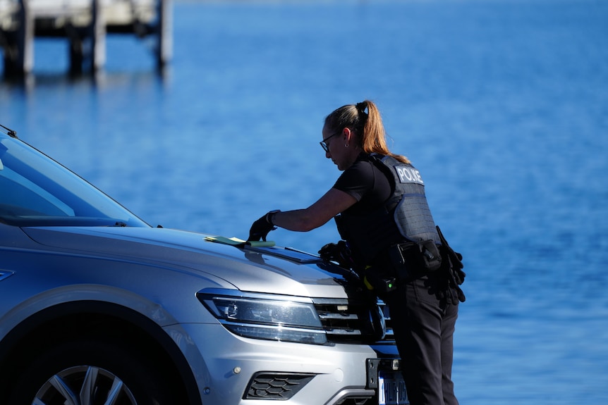 police albany